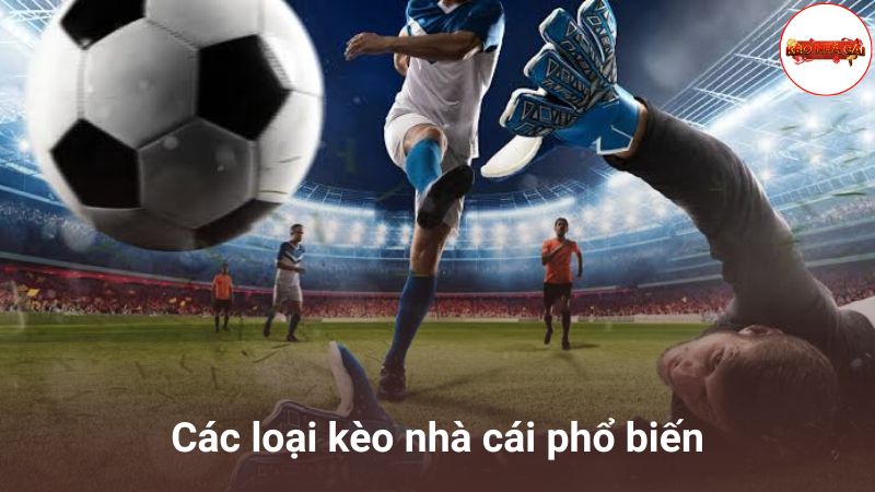Các loại kèo nhà cái phổ biến