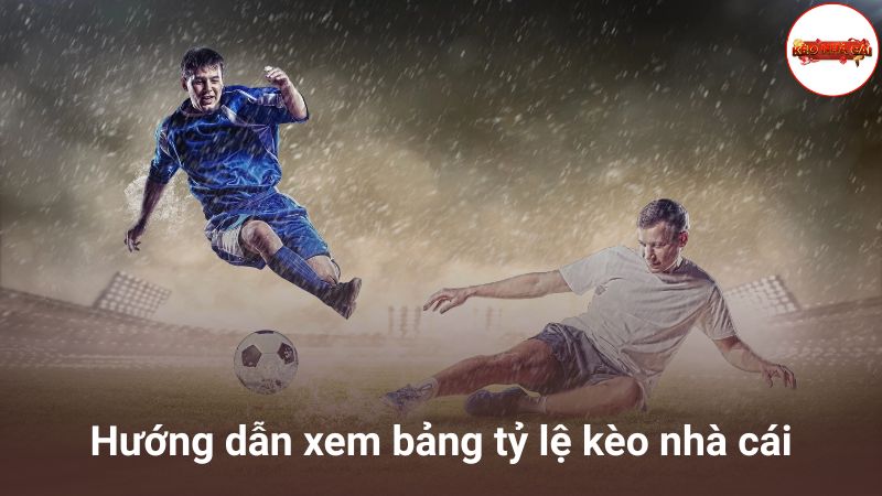 Bảng tỷ lệ kèo nhà cái cập nhật liên tục